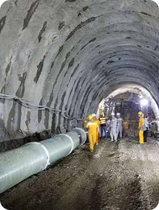 Công ty TNHH Công nghệ sinh thái Giang Tô Sulong